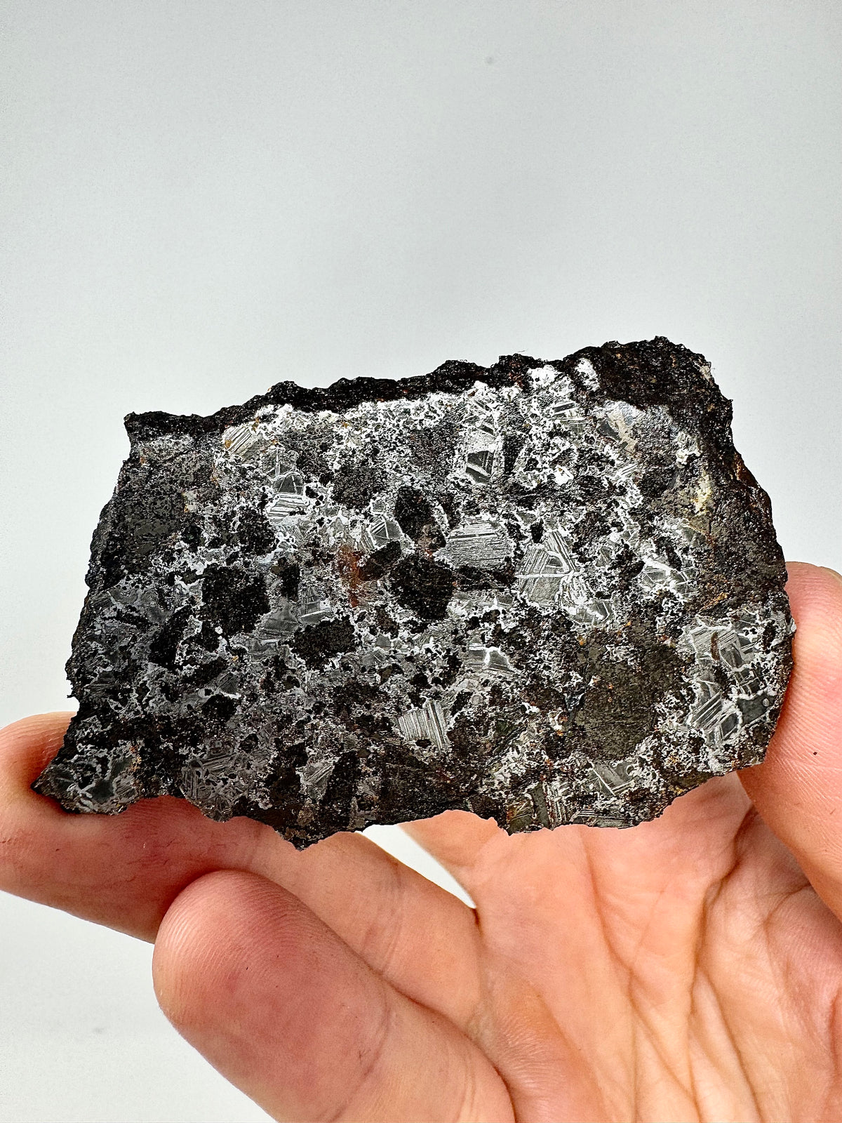 NEW! 57.3g Tessalit 001 - Extremely High Iron Winonaite Meteorite Under Study - A Primitive Achondrite!