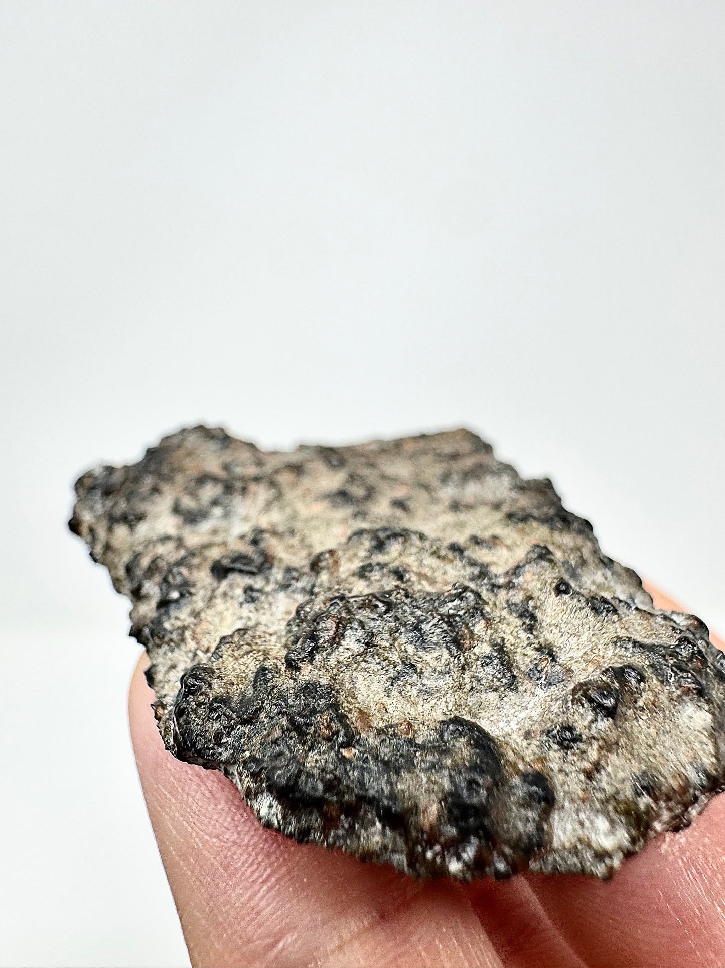 NEW/MAIN MASS: 60.4g Genuine Martian Meteorite - Scientifically Studied Rock From Planet Mars w/ Aqueous Alteration - NWA 18281