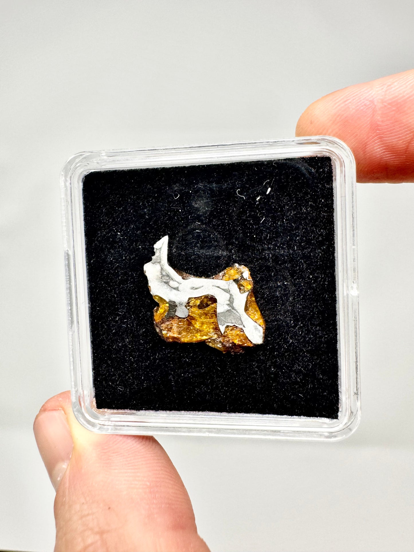 2.1g Imilac Pallasite Meteorite - Discovered in 1822 in Chile!