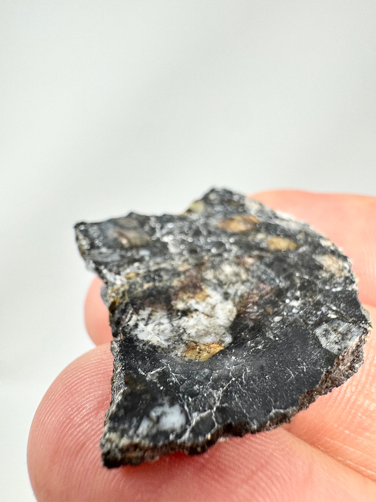 NEW! 5.2g Jaw-Dropping Personal Classification of NWA 18785 Aubrite - Fragmental Monomict Breccia, Enstatite Achondrite Meteorite - Evidence of Possible Linkage To Planet Mercury
