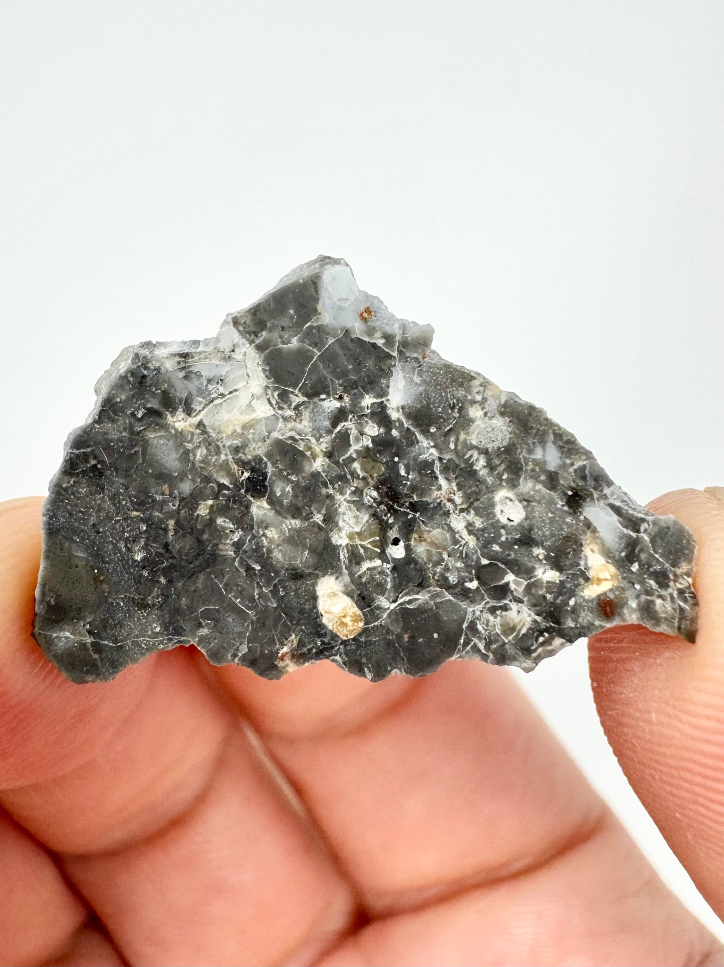 2.9g Adrar 017 Lunar Meteorite - A Rare Gabbro/Norite - From Our Moon!