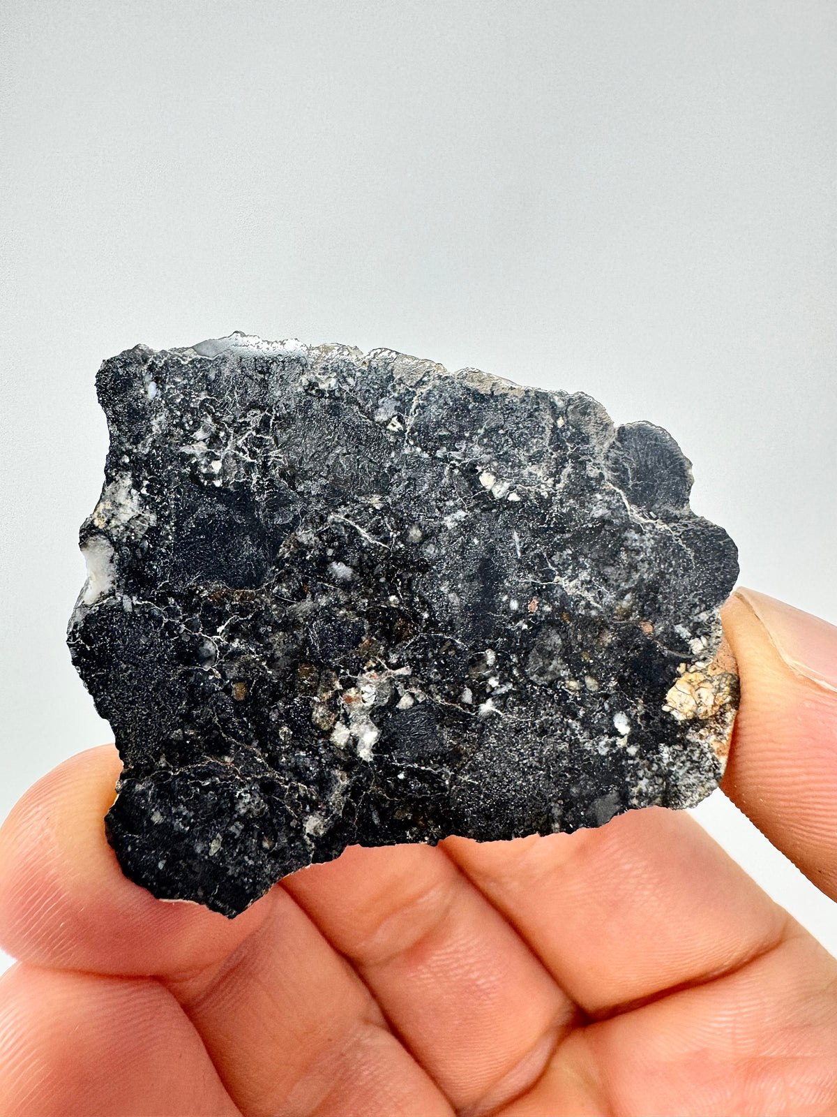NEW: 10.6g Personal Classification of NWA 18785 Aubrite - Fragmental Monomict Breccia, Enstatite Achondrite Meteorite - Evidence of Possible Linkage To Planet Mercury