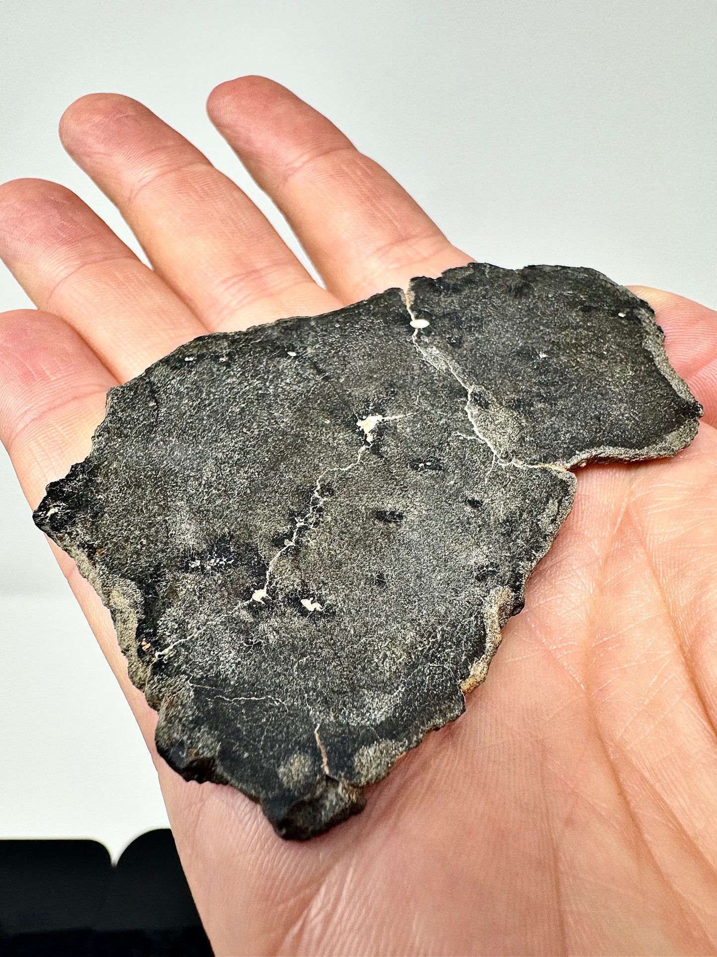 28.7g Genuine Martian Meteorite with Aqueous Alteration - FULL SLICE - Pending Classification - Scientifically Studied Rock From Planet Mars