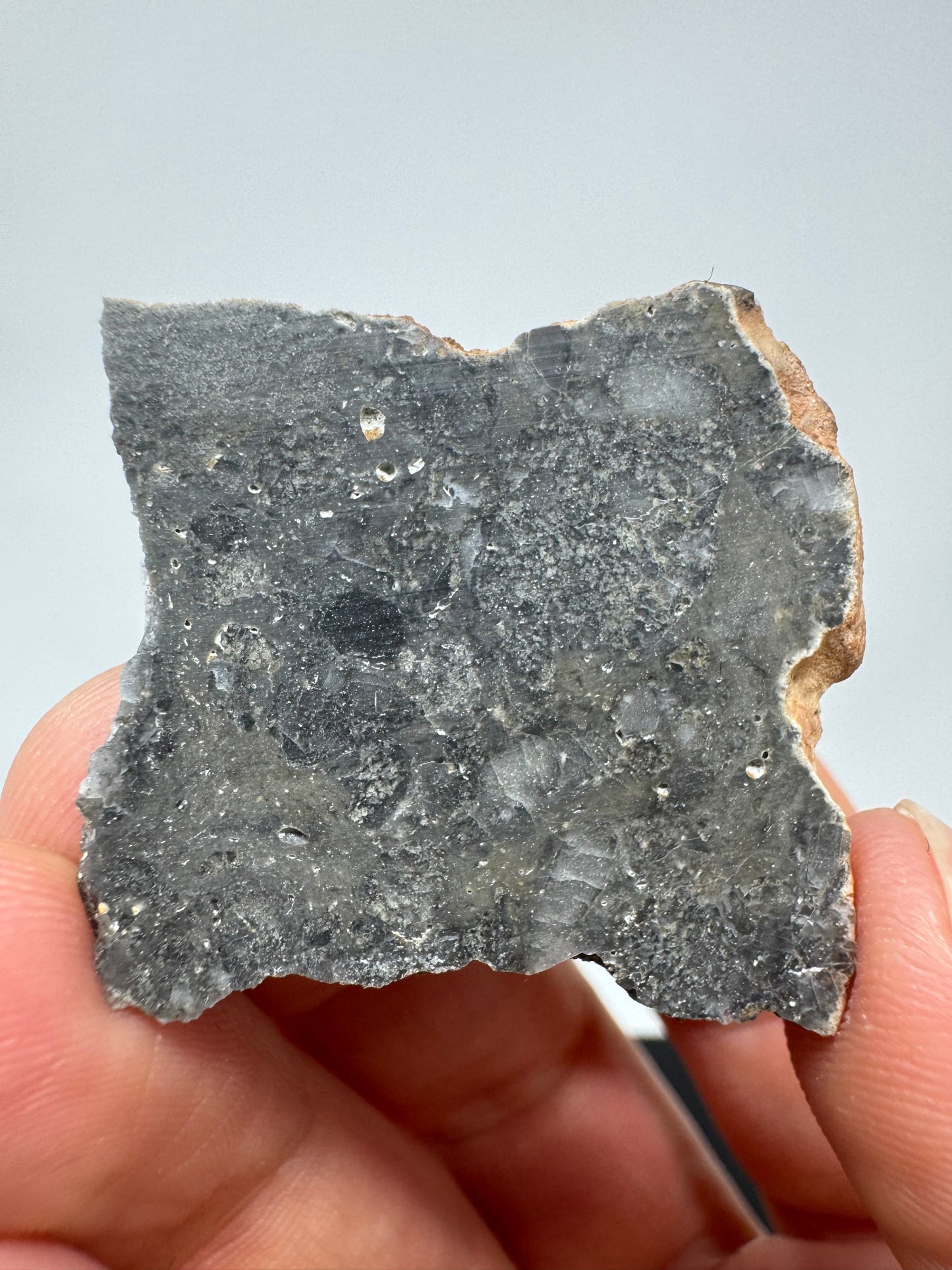 Nagjir 005 Lunar Melt Breccia - 5.3g - A Beautiful, Rare Lunar Meteorite From The Moon!