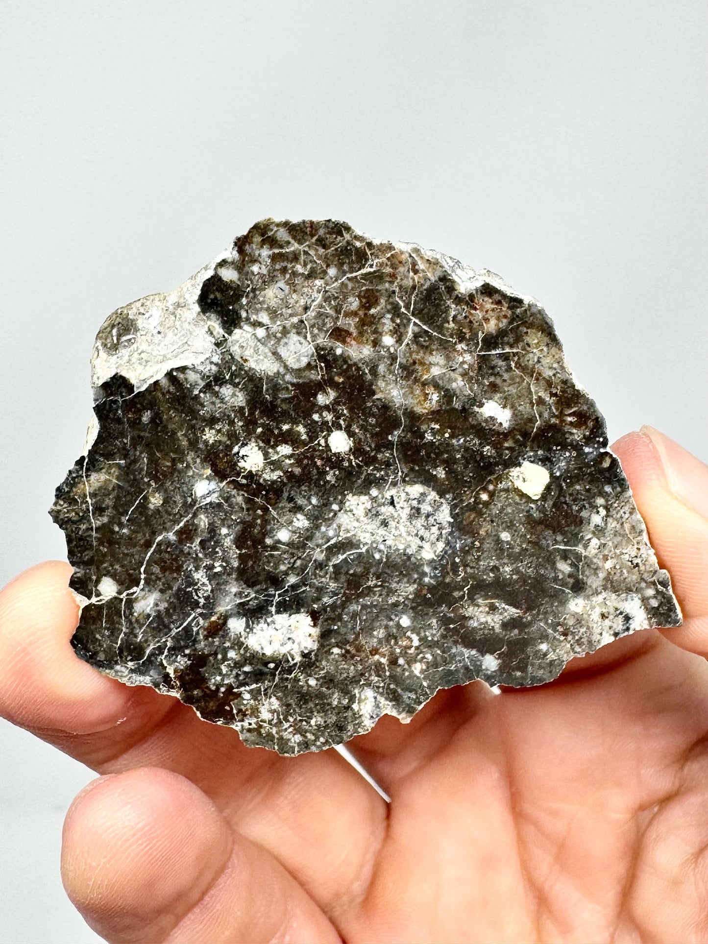 27.3g NWA 17270 Lunar Melt Breccia Meteorite END CUT - From Our Moon!