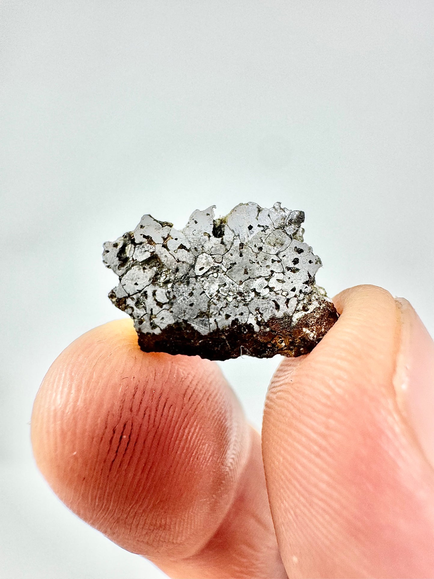 The Famous Bondoc Mesosiderite Meteorite - 1.4g