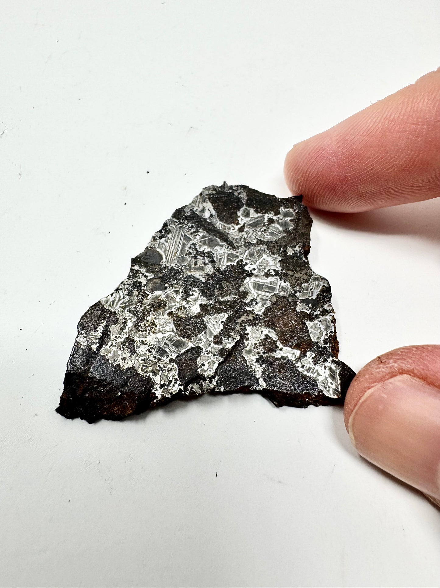 NEW! 15.5g Extremely High Iron Winonaite Meteorite Under Study - A Primitive Achondrite!