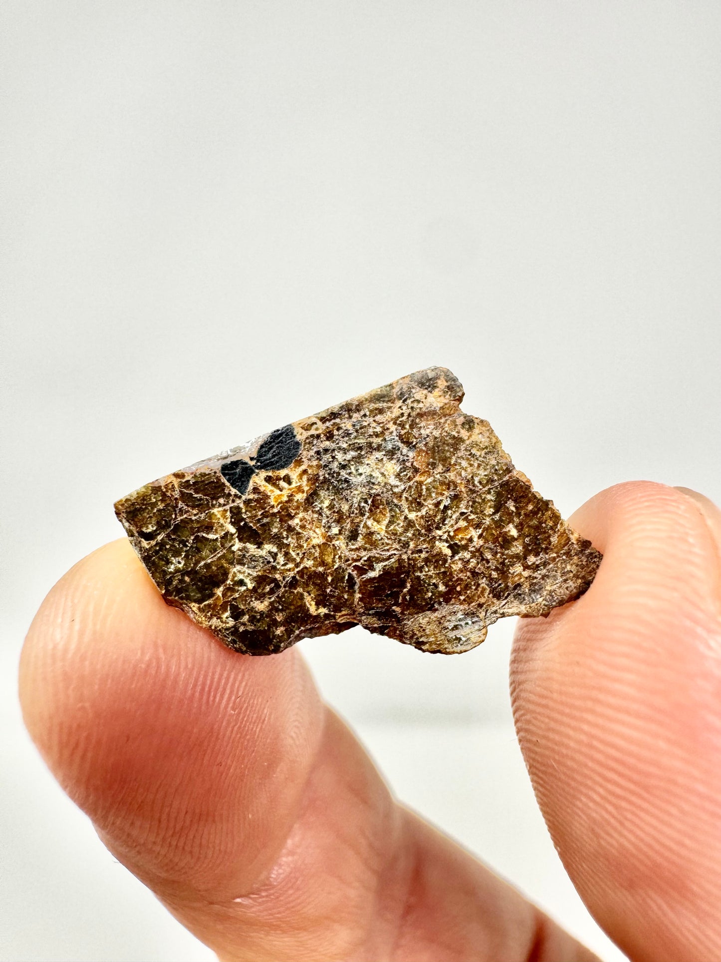 1.2g NWA 16317 Translucent Diogenite Meteorite - Parent Body: Asteroid Vesta