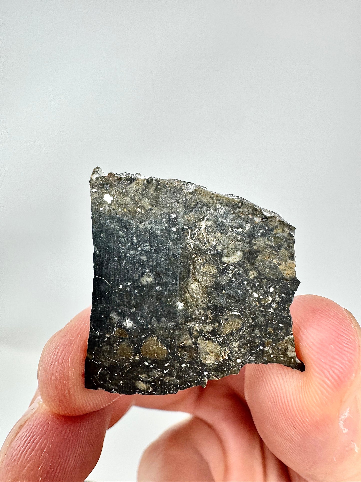 4.1g NWA 17680 “The Blue Lunar” Breathtaking Lunar Melt Breccia With Blue Tint, Vugs and Metal Impactors! A Genuine Stone From Our Moon!