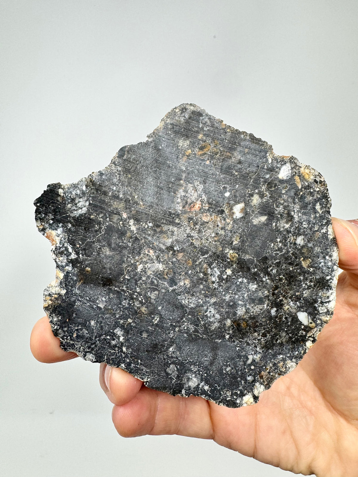 NEW! 60.1g FULL SLICE Jaw-Dropping Personal Classification of NWA 18785 Aubrite - Fragmental Monomict Breccia, Enstatite Achondrite Meteorite - Evidence of Possible Linkage To Planet Mercury