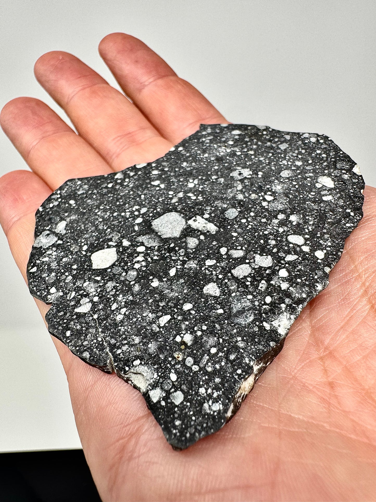 Stunning NWA 17679 Lunar Breccia - FULL SLICE - 26.2g - A Genuine Piece Of Our Moon!