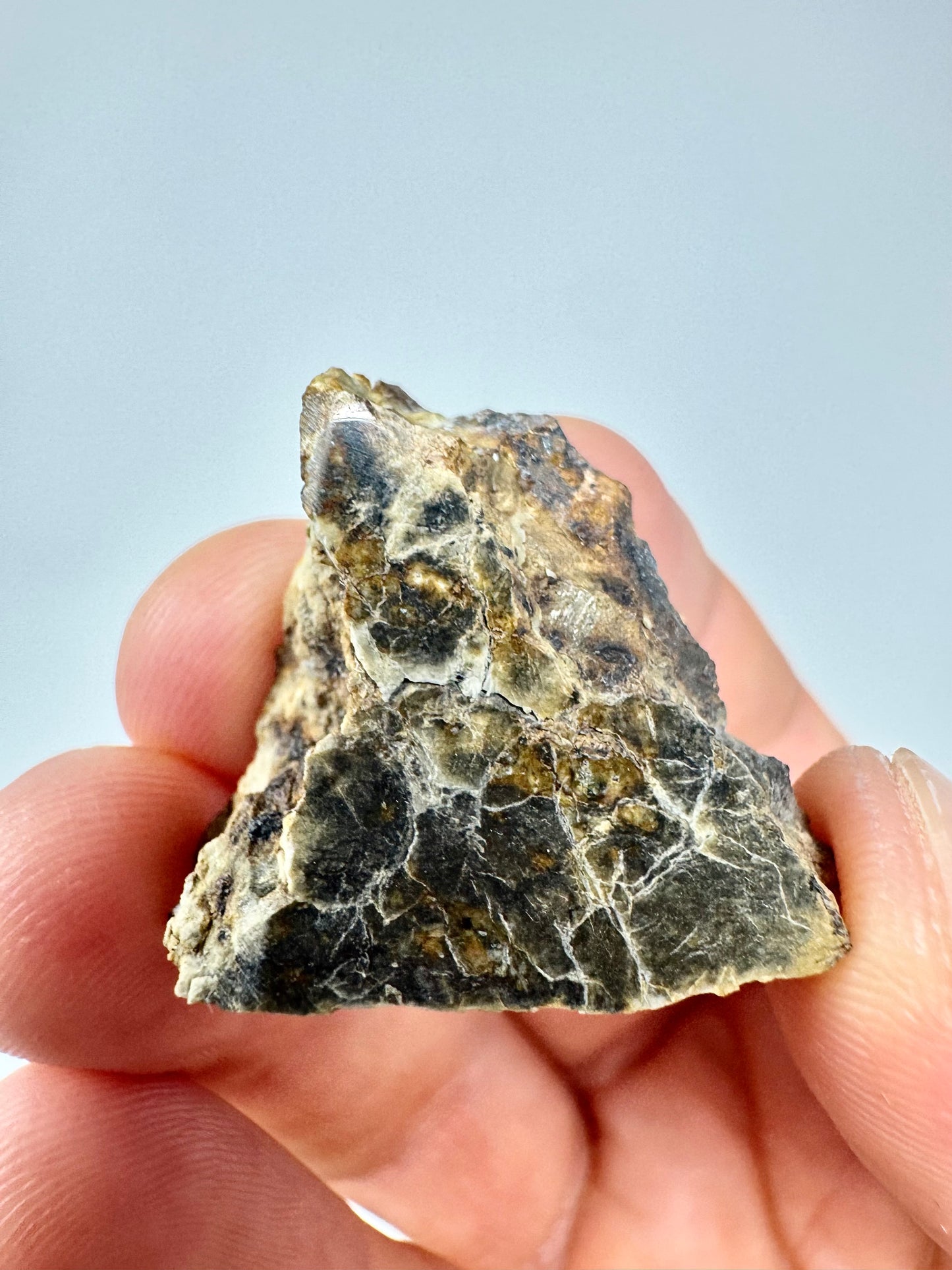 10.8g Djoua 001 Enstatite Achondrite Meteorite - Thick Cut! Evidence of Planet Mercury - Marble Appearance