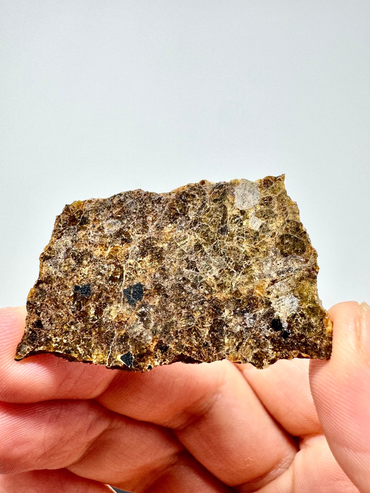 6.8g NWA 16317 Very Translucent Diogenite Meteorite - Parent Body: Asteroid Vesta