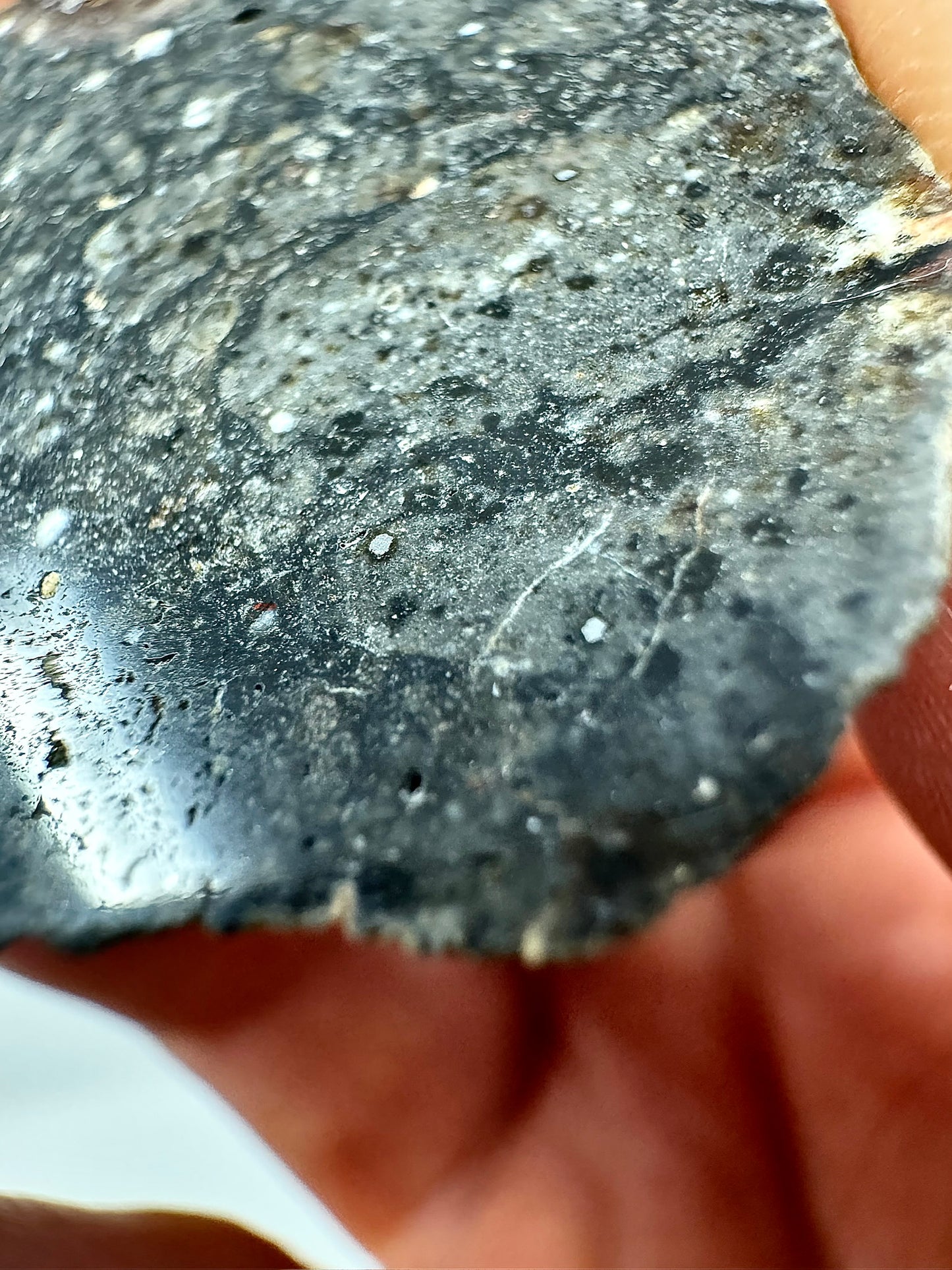 NEW:  Lunar Meteorite Pending Classification - 6.7g - A Genuine Piece Of Our Moon!