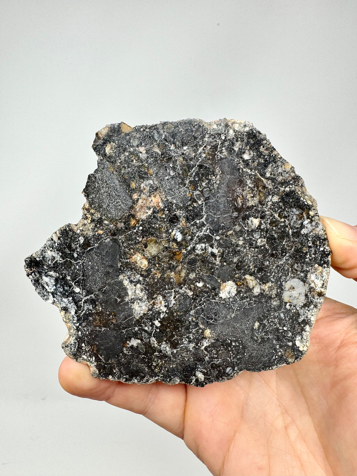 NEW!  223.9g END CUT (Second Largest Mass) Jaw-Dropping Personal Classification of NWA 18785 Aubrite - Fragmental Monomict Breccia, Enstatite Achondrite Meteorite - Evidence of Possible Linkage To Planet Mercury