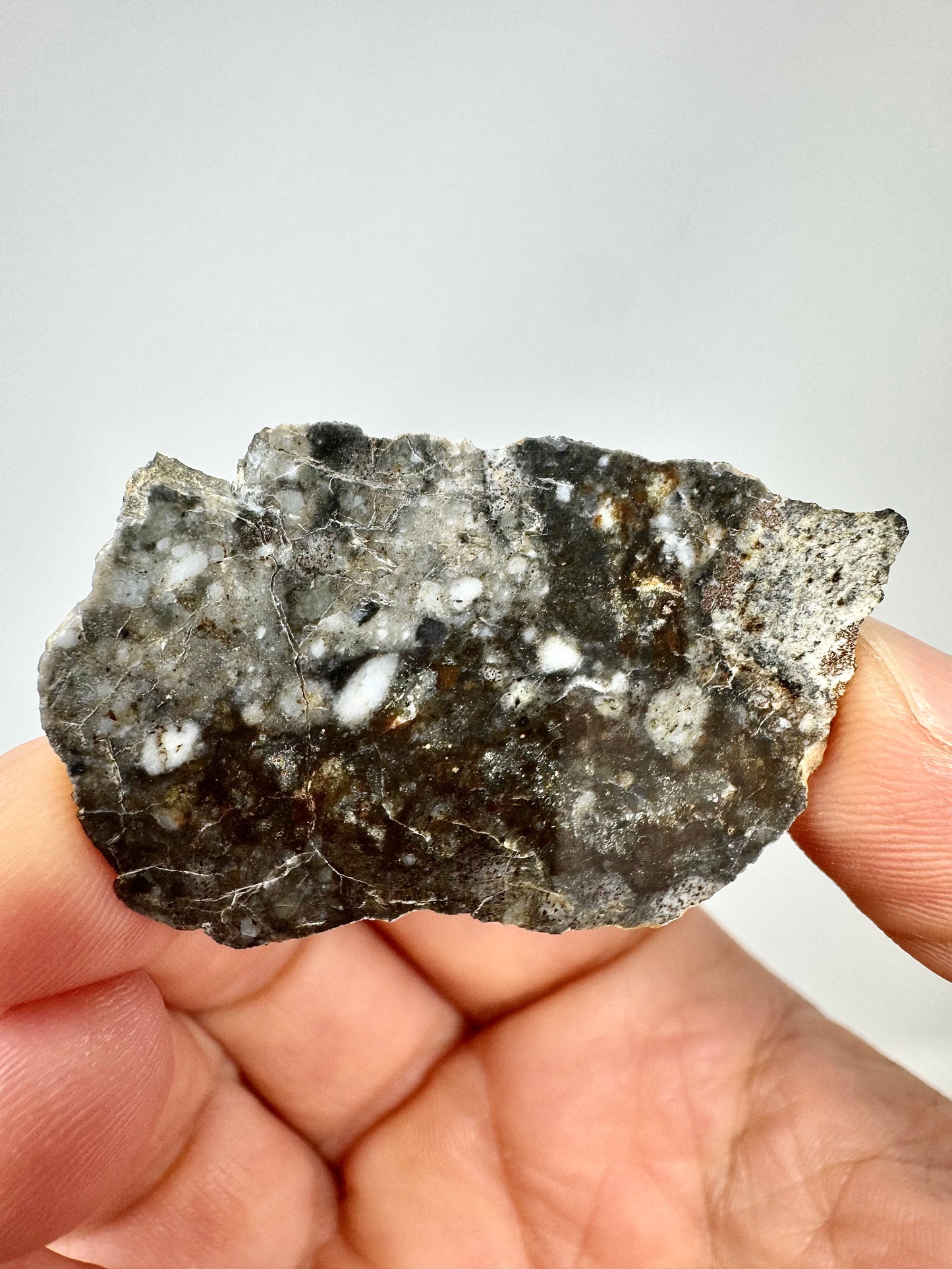 5.1g NWA 17270 Lunar Melt Breccia Meteorite - From Our Moon!
