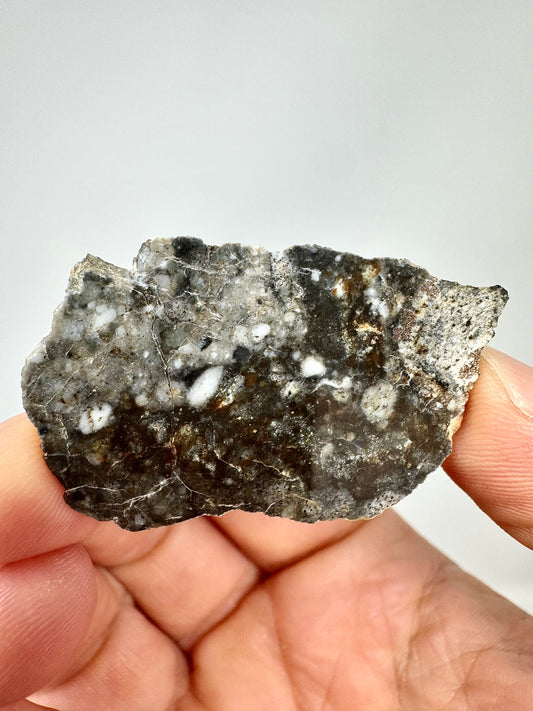 5.1g NWA 17270 Lunar Melt Breccia Meteorite - From Our Moon!
