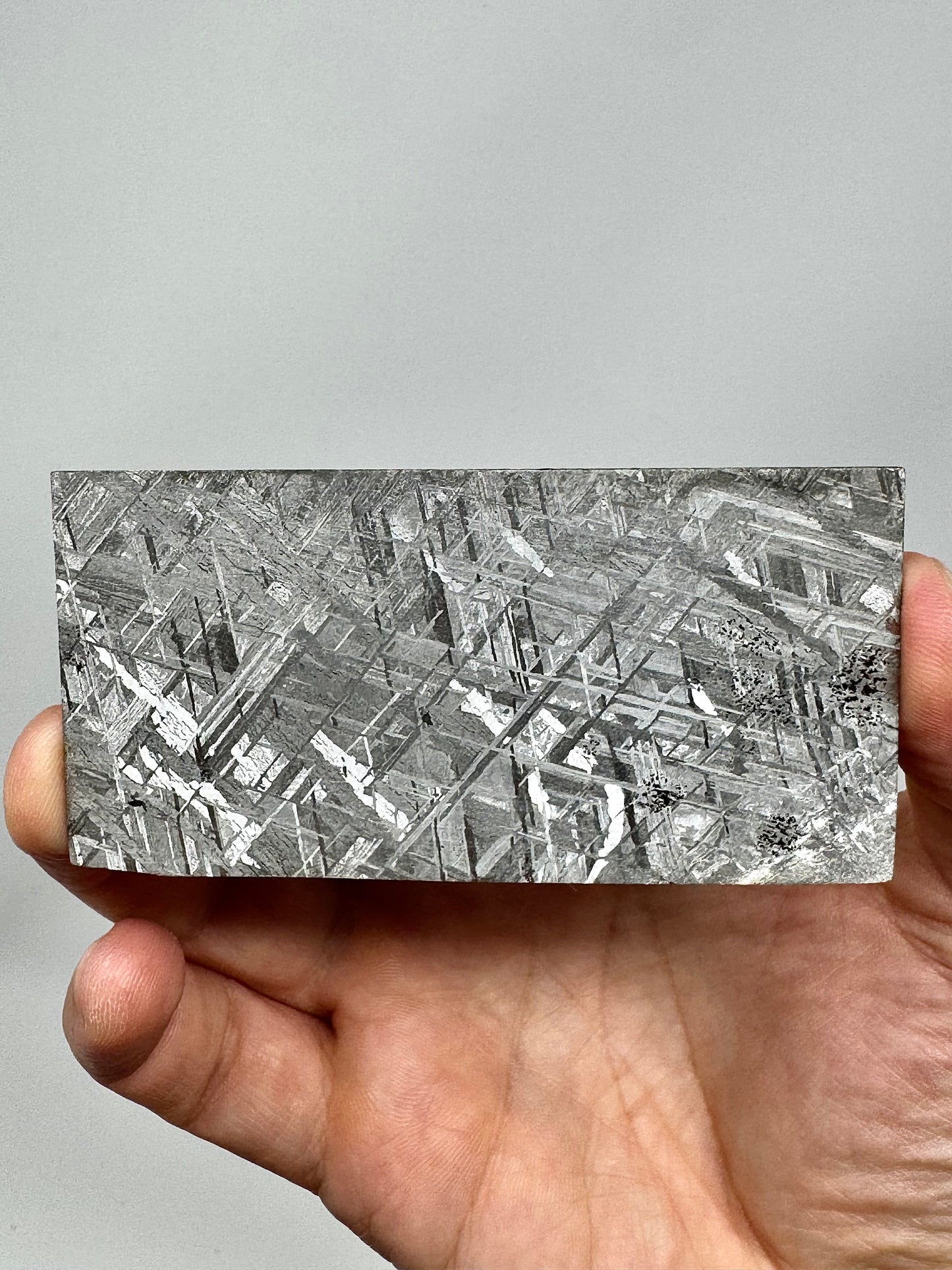 18.9g Gibeon Meteorite Wedged Slice - From The Core Of An Asteroid!