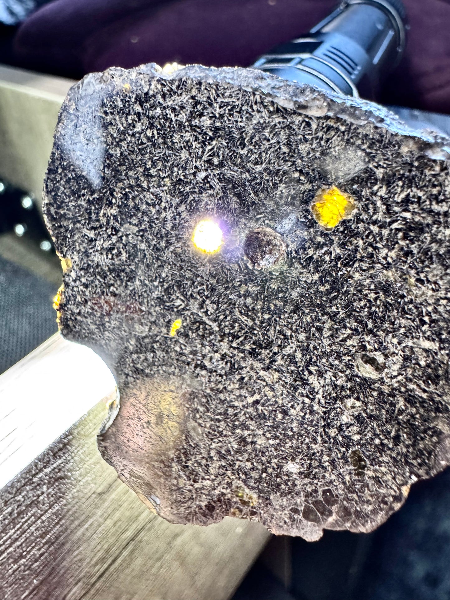 NEA 120 Full Slice - A Rare, Vesicular Angrite Meteorite w/ Needle-Like Matrix And Translucent Crystals! 15.6g