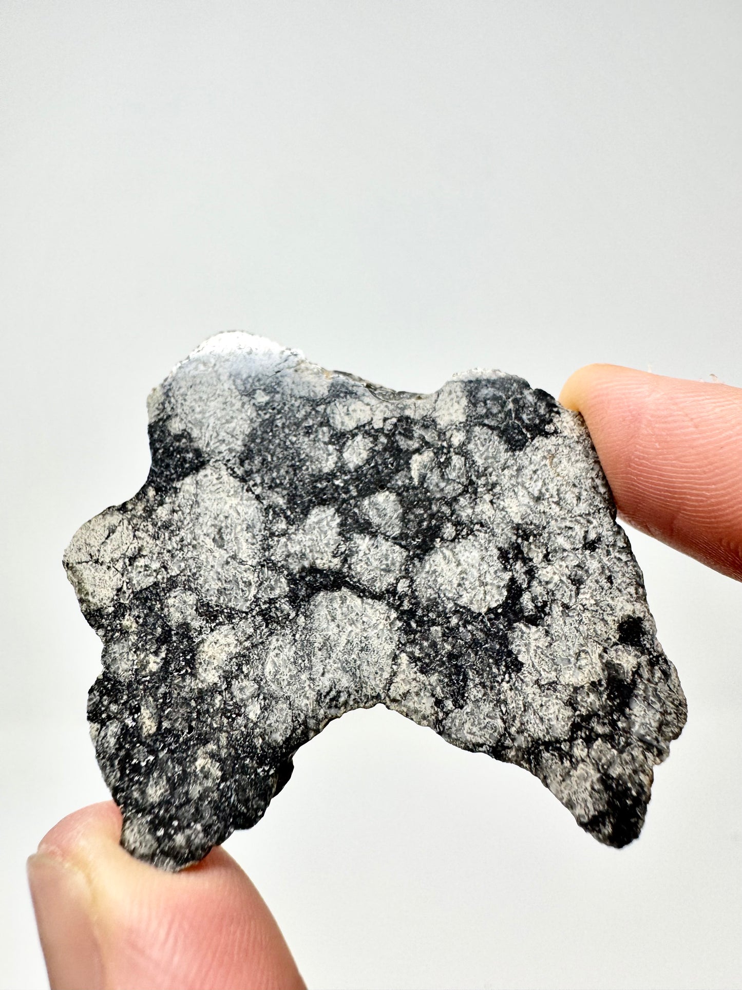 NWA 15923 Eucrite Melt Breccia Meteorite - From An Asteroid! 11.3g