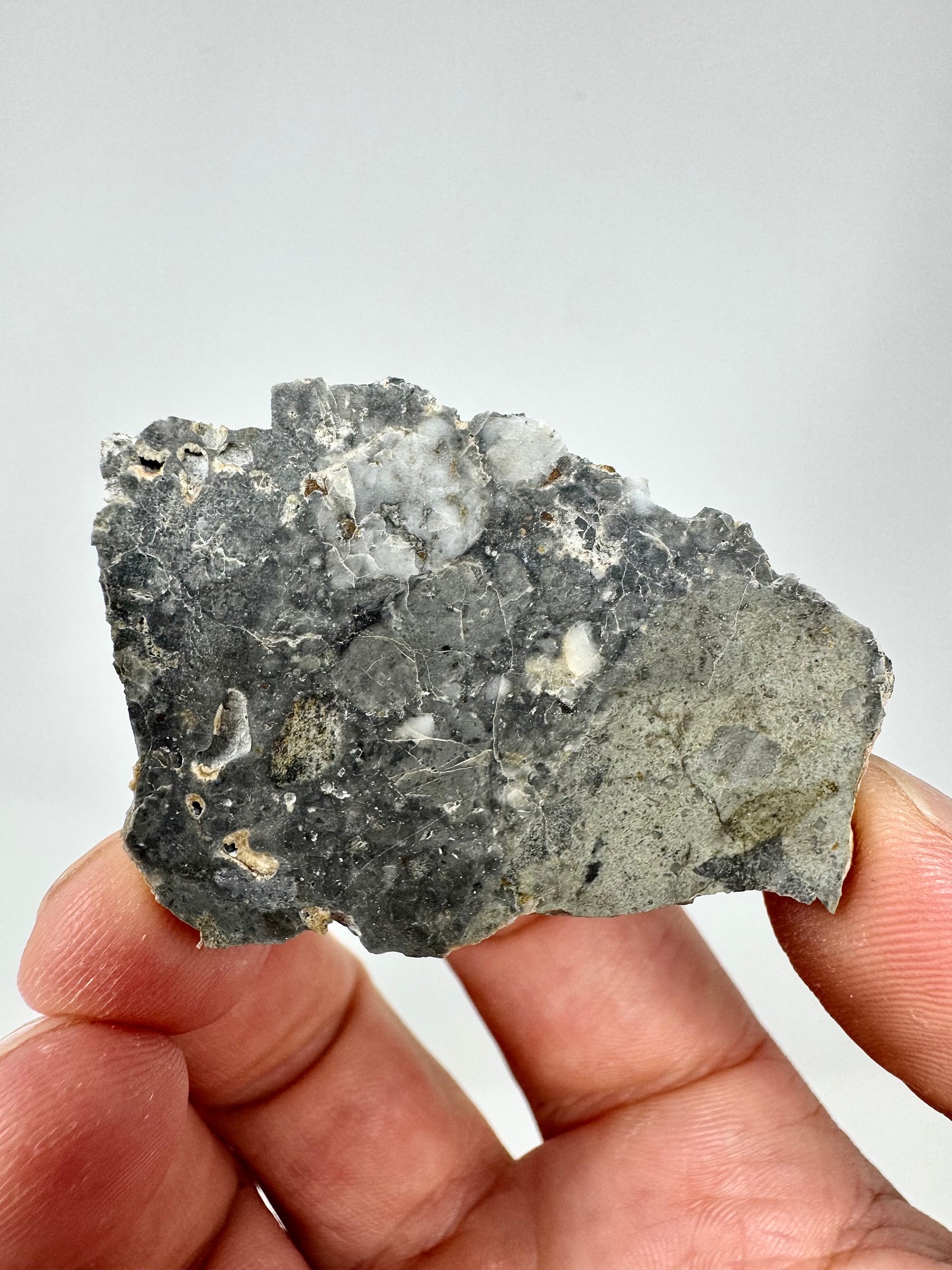 8.9g Adrar 017 Lunar Meteorite - A Rare Gabbro/Norite - From Our Moon!