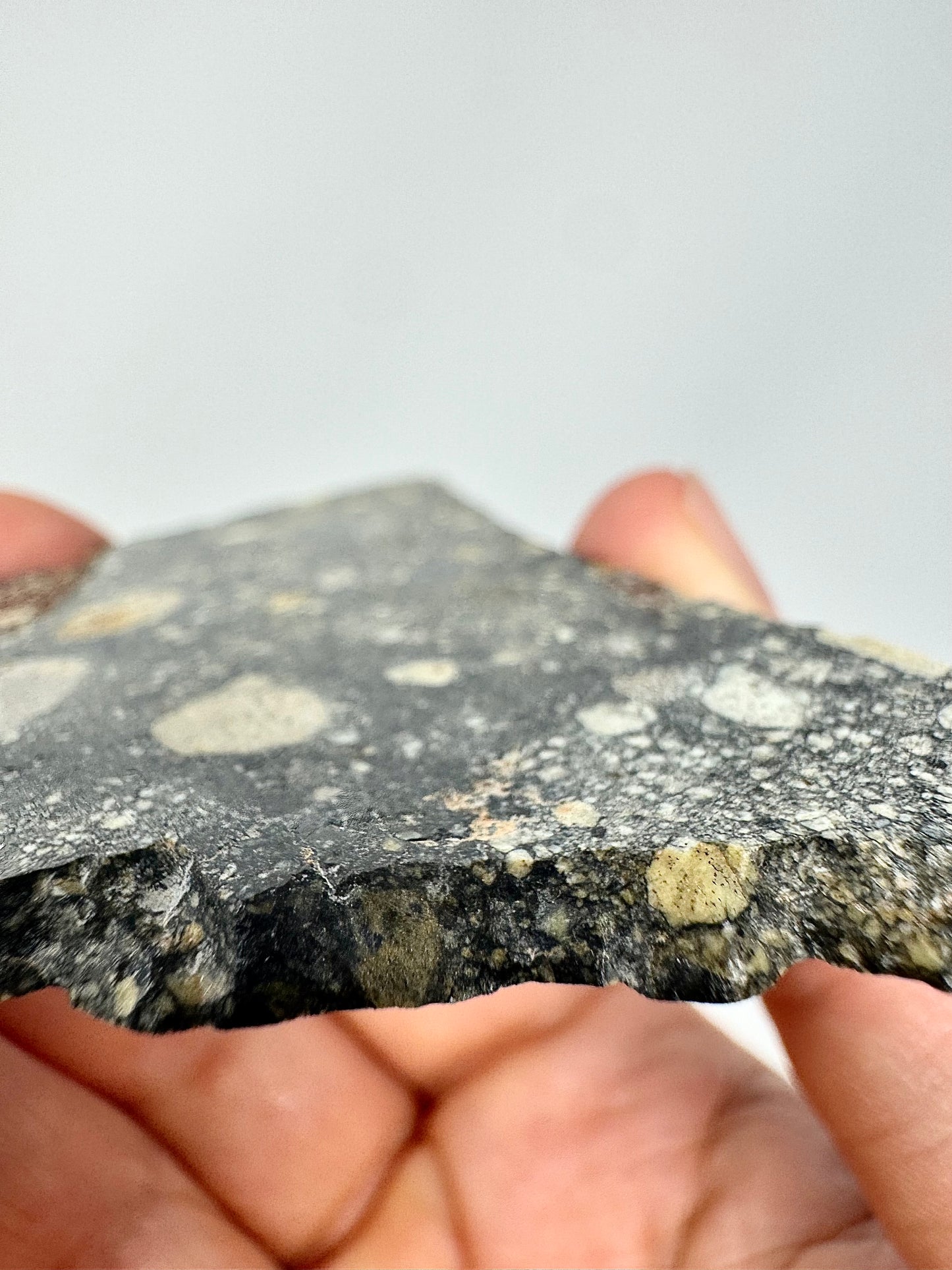22.9g Stunning Diogenite Meteorite Under Classification - Beautiful Matrix! Parent Body: Asteroid Vesta