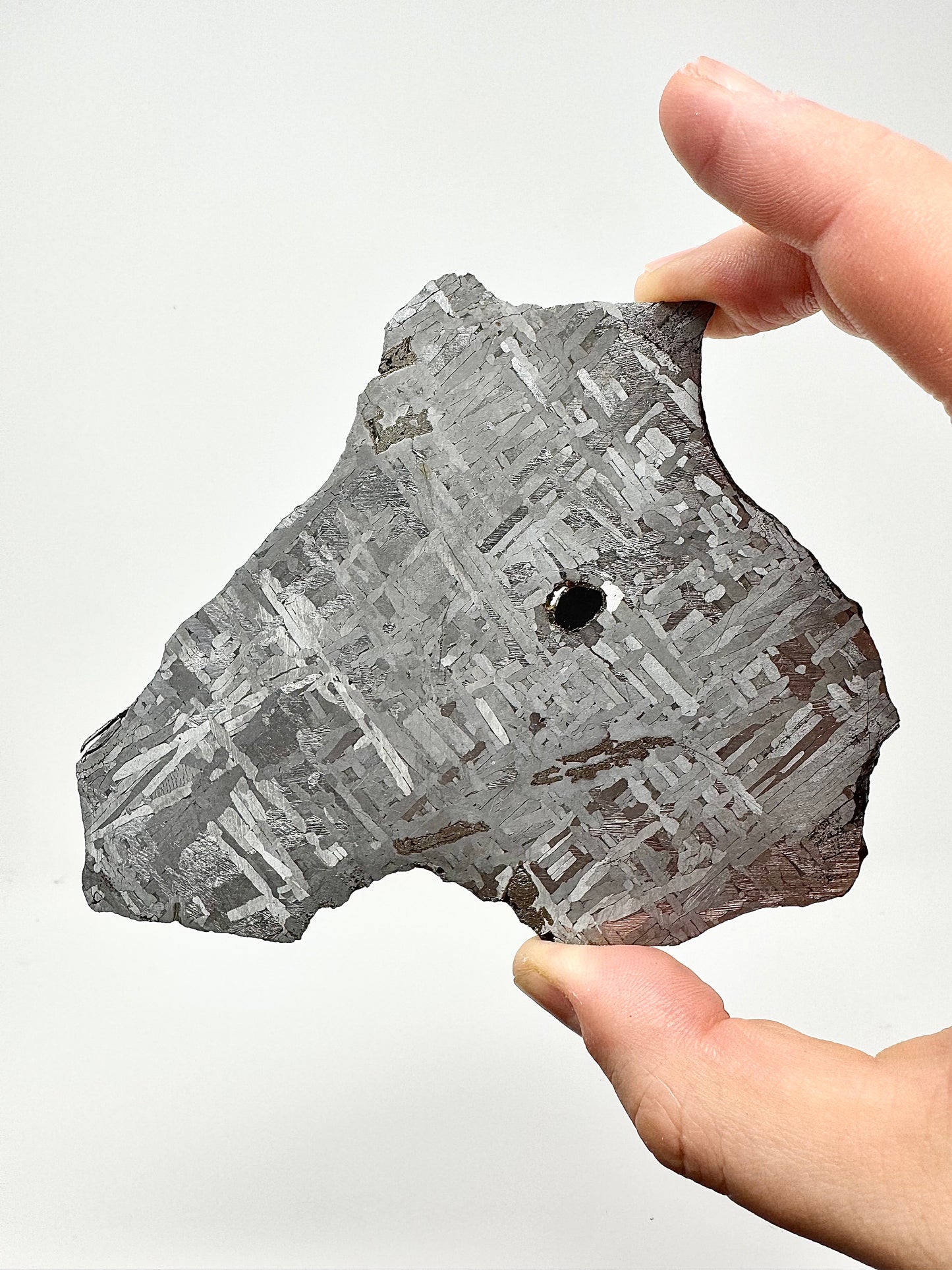 Hickman Iron Meteorite - Found By A Gold Prospector! From The Core Of An Asteroid! 171.9g