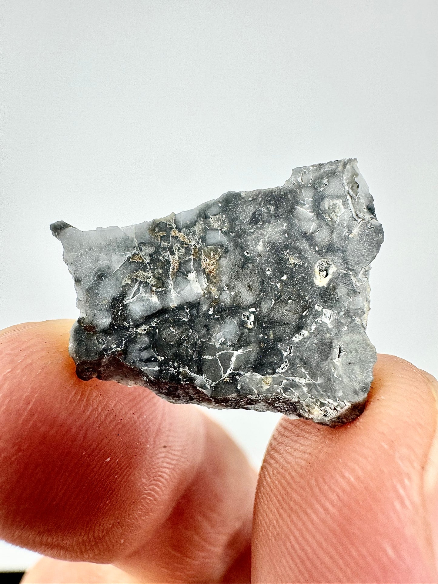 1.6g Adrar 017 Lunar Meteorite - A Rare Gabbro/Norite - From Our Moon!