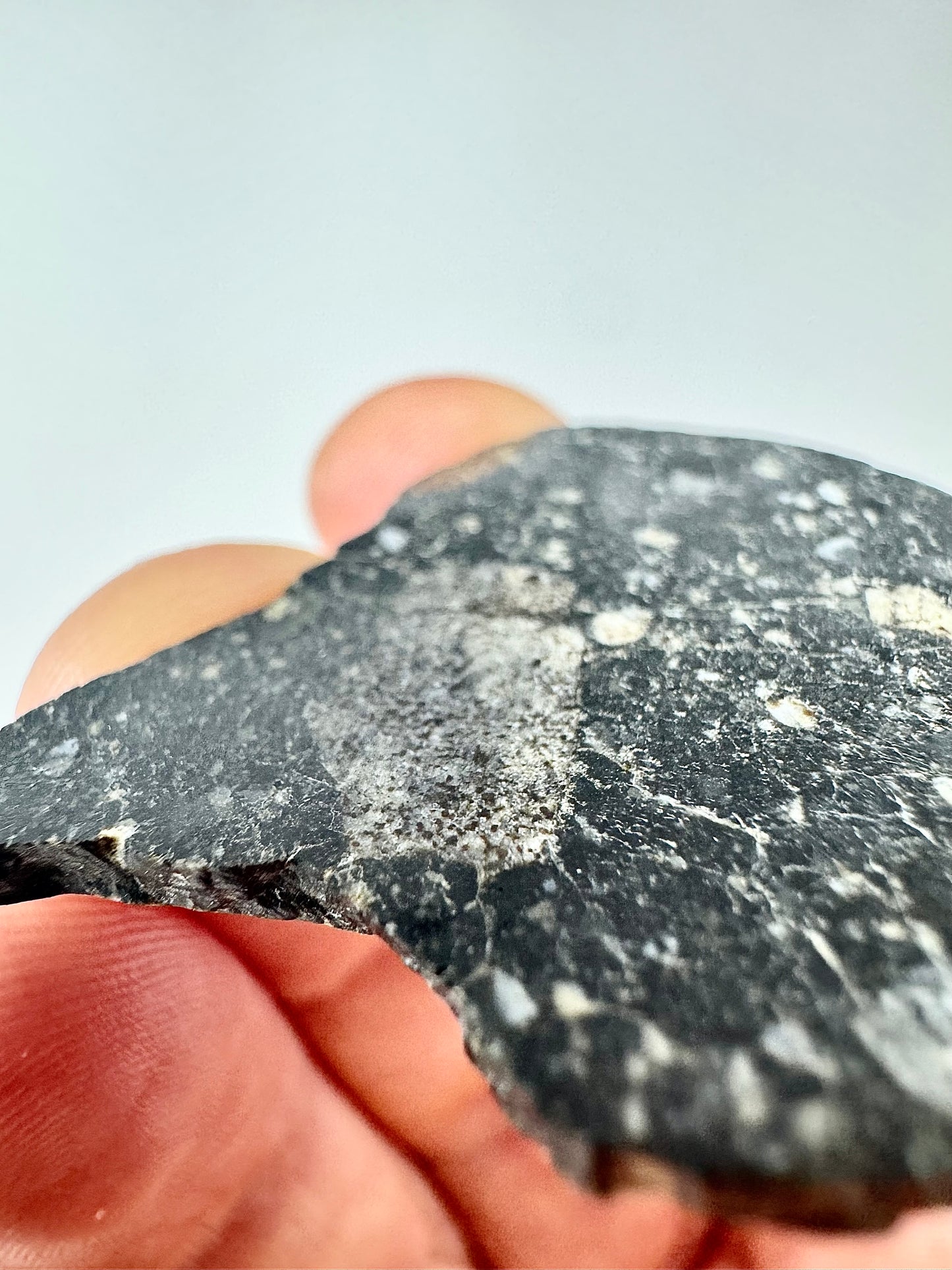 NEW! 6.1g Newly Discovered Lunar Breccia - FULL SLICE - A Genuine Piece Of Our Moon!
