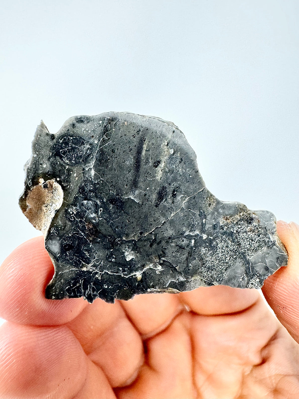 5.0g Adrar 017 Lunar Meteorite - A Rare Gabbro/Norite - From The Moon!