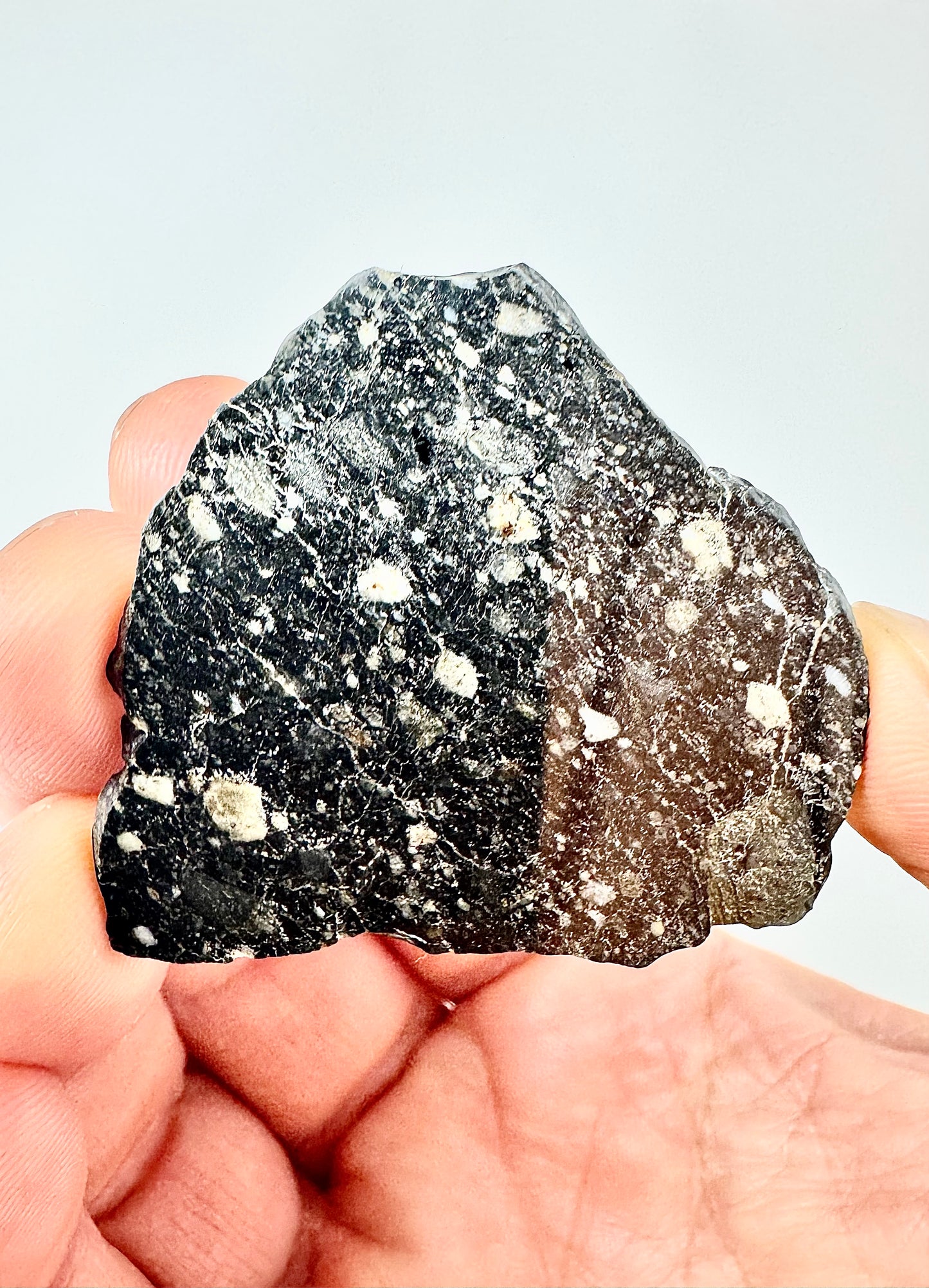 NEW! 7.7g Newly Discovered Lunar Breccia - FULL SLICE - A Genuine Piece Of Our Moon!