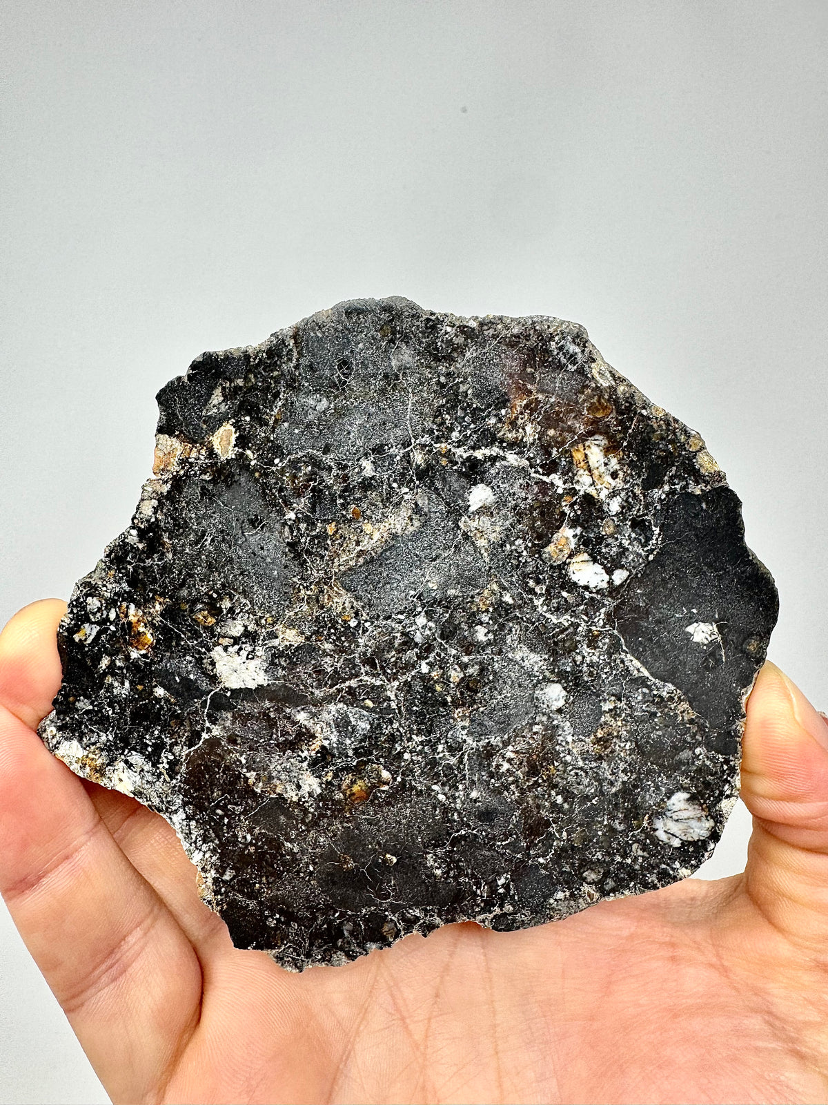 NEW! 65.8g FULL SLICE Jaw-Dropping Personal Classification of NWA 18785 Aubrite - Fragmental Monomict Breccia, Enstatite Achondrite Meteorite - Evidence of Possible Linkage To Planet Mercury