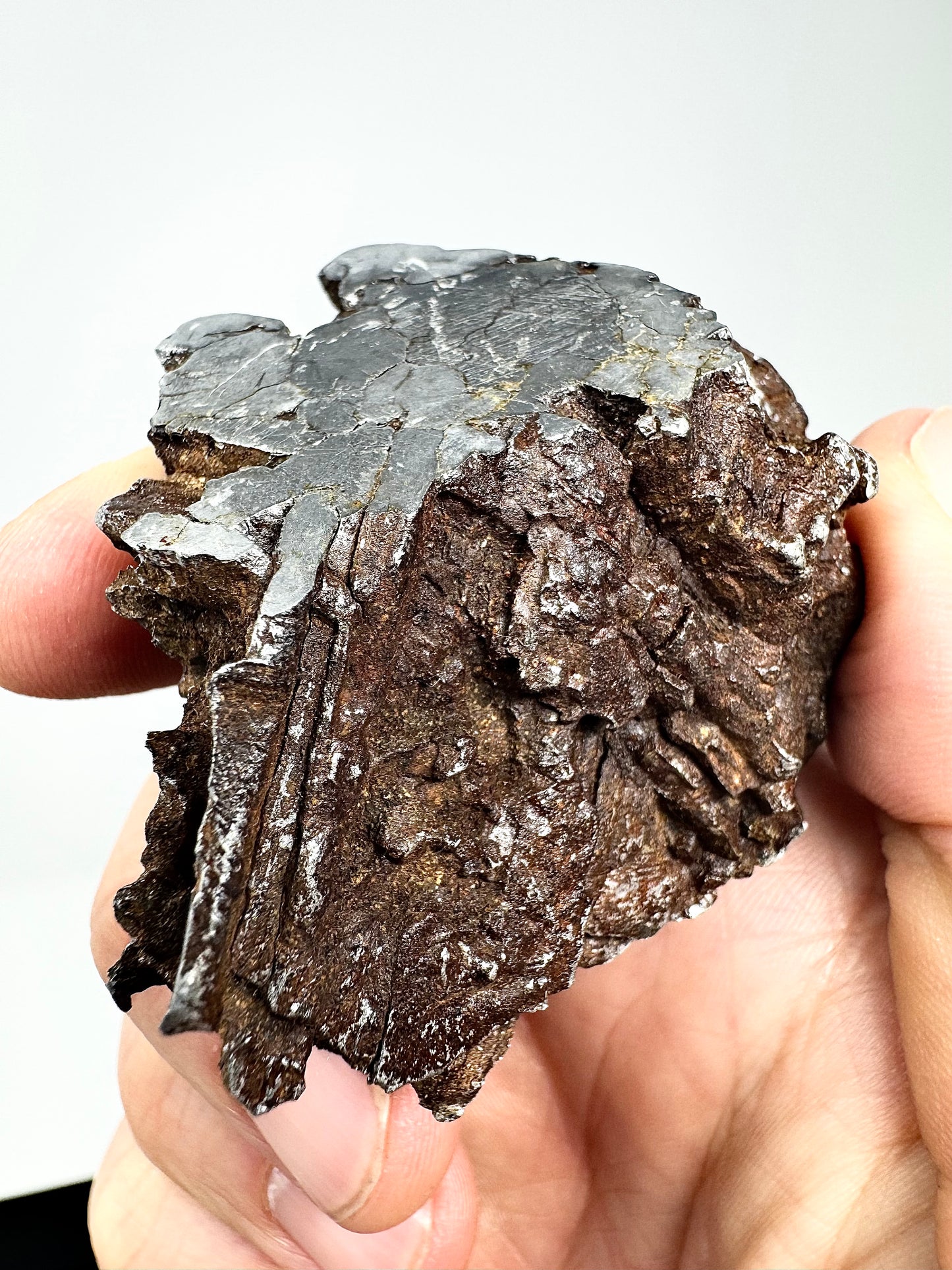 266.7g Nantan Meteorite - Huge Chunk - A Space Rock Originally Recovered for China’s Industrial Era!