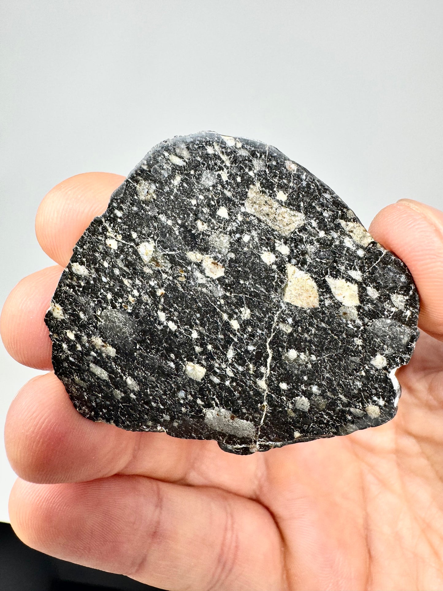 NEW! 9.9g Newly Discovered Lunar Breccia - FULL SLICE - A Genuine Piece Of Our Moon!