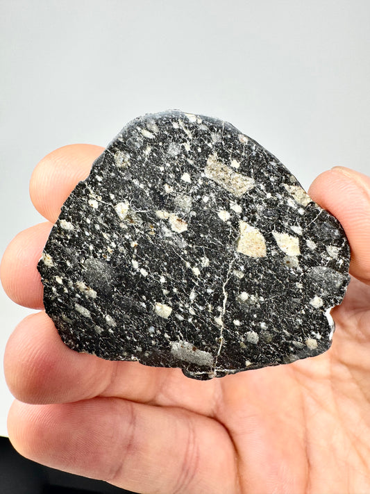 NEW! 9.9g Newly Discovered Lunar Breccia - FULL SLICE - A Genuine Piece Of Our Moon!