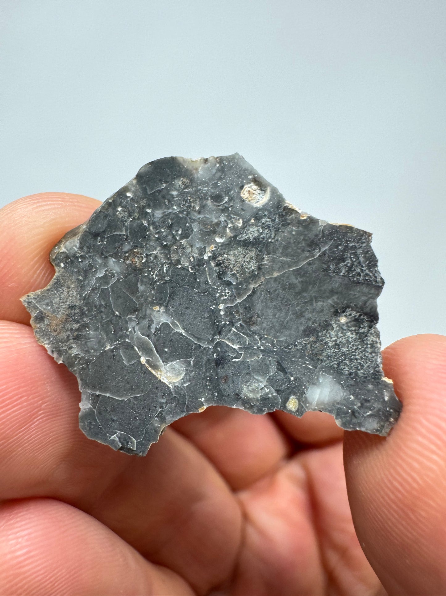 Nagjir 005 Lunar Melt Breccia - 3.3g - A Beautiful, Rare Lunar Meteorite From The Moon!