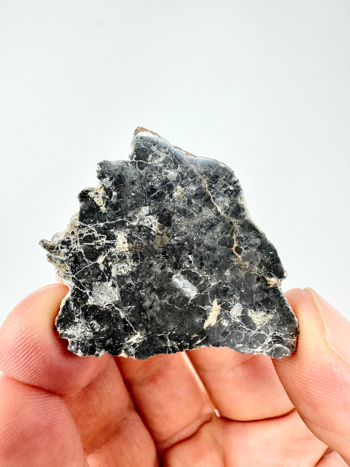 5.6g Adrar 017 Lunar Meteorite - A Rare Gabbro/Norite - From The Moon!
