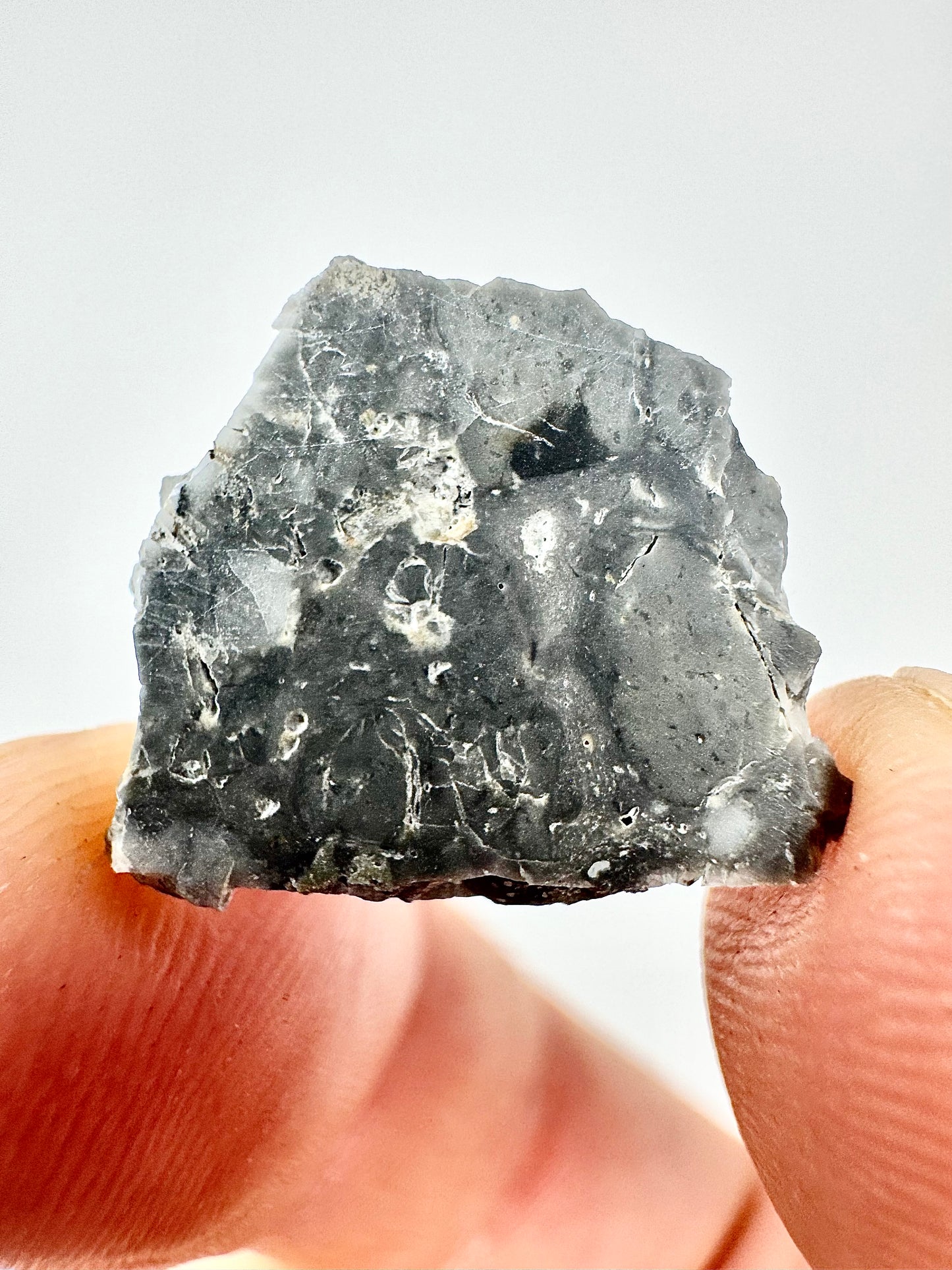 1.4g Adrar 017 Lunar Meteorite - A Rare Gabbro/Norite - From Our Moon!