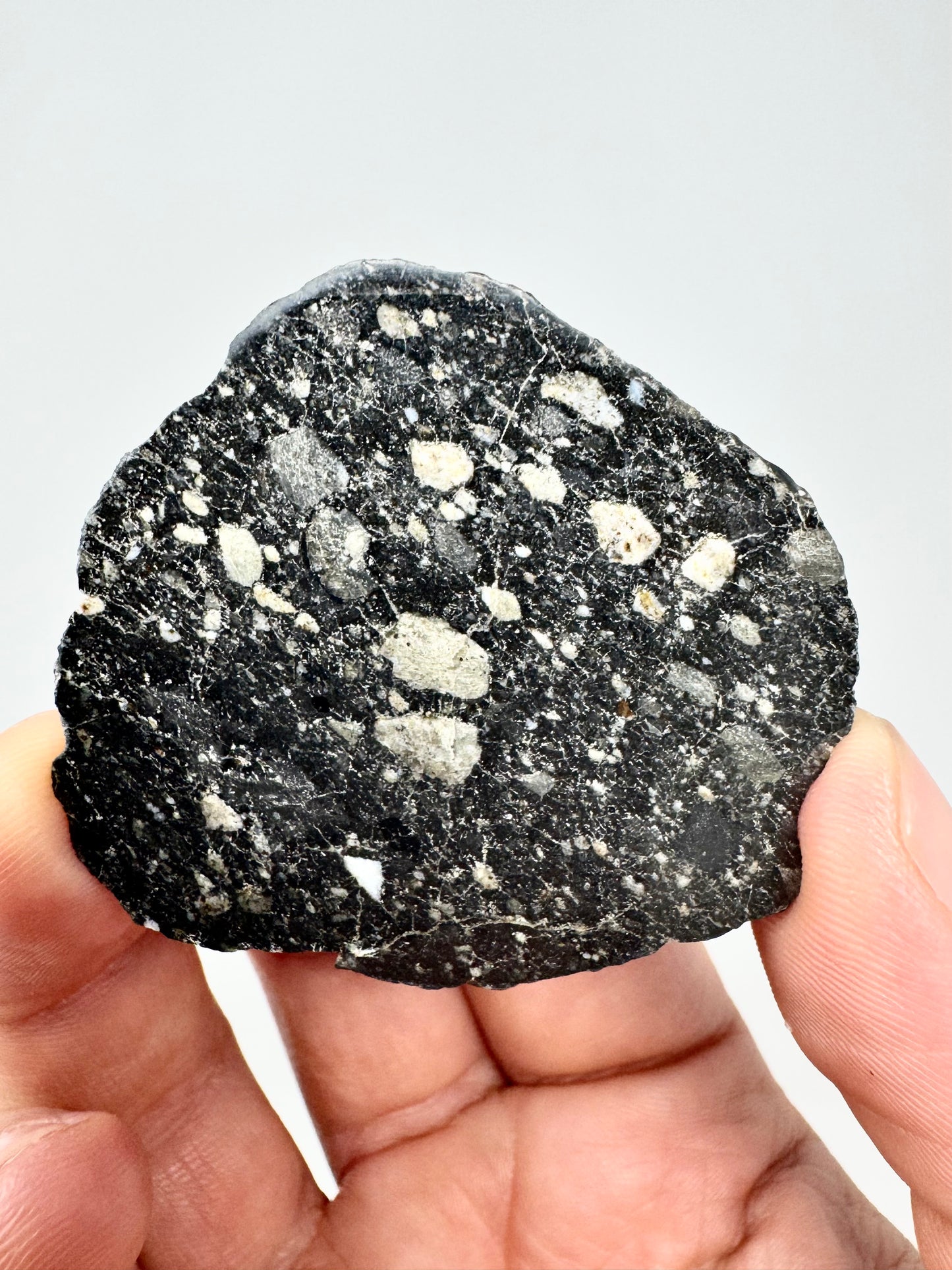 NEW! 8.3g Newly Discovered Lunar Breccia - FULL SLICE - A Genuine Piece Of Our Moon!