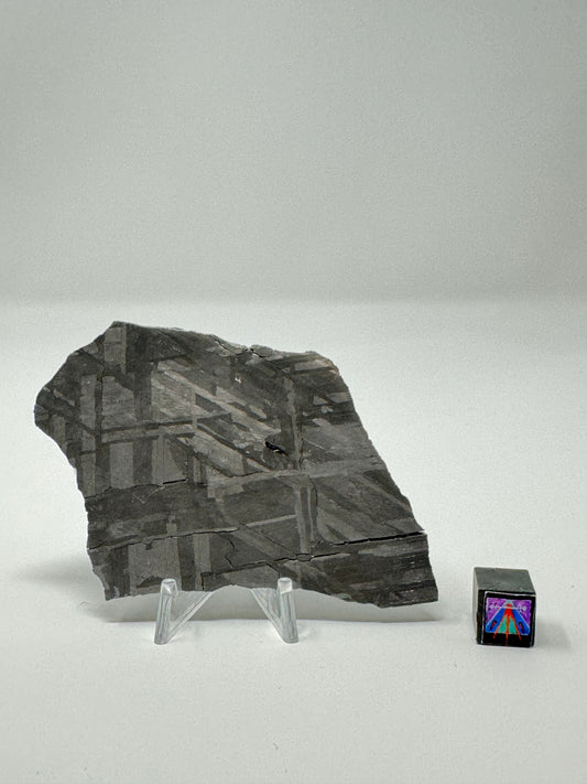 Stunning Brand New Iron Meteorite (Under Classification) - 65.4g Full Slice