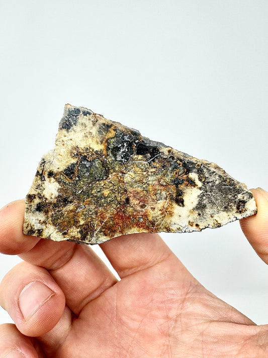 26.6g Djoua 001 Enstatite Achondrite Meteorite - Thick Cut! Evidence of Planet Mercury - Marble Appearance