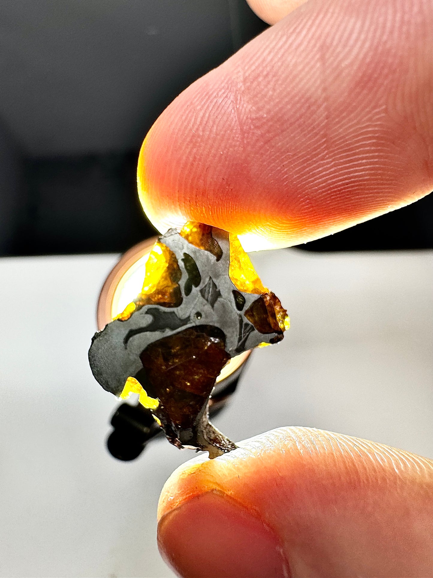 2.1g Imilac Pallasite Meteorite - Discovered in 1822 in Chile!