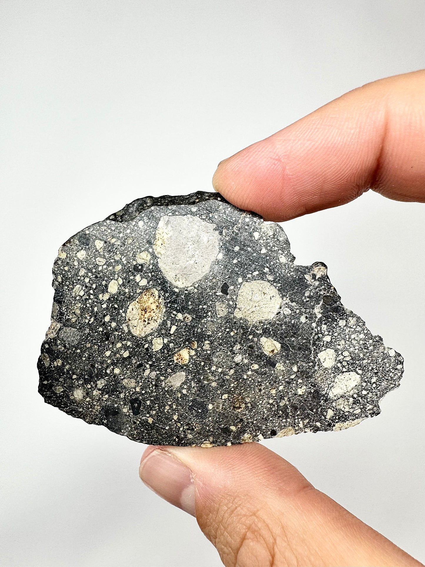 17.2g Stunning Diogenite Meteorite Under Classification - Beautiful Matrix! Parent Body: Asteroid Vesta