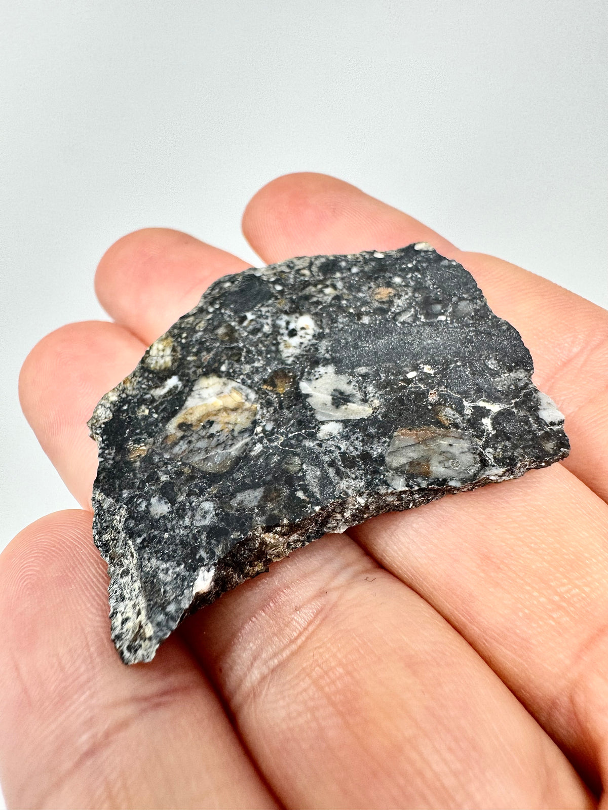 NEW: 10.4g Personal Classification of NWA 18785 Aubrite - Fragmental Monomict Breccia, Enstatite Achondrite Meteorite - Evidence of Possible Linkage To Planet Mercury