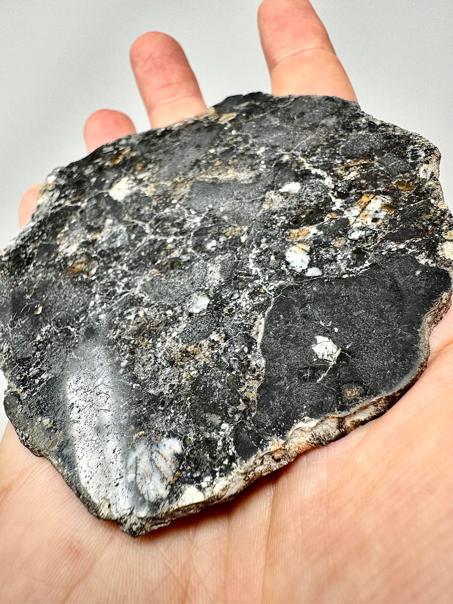 NEW! 65.8g FULL SLICE Jaw-Dropping Personal Classification of NWA 18785 Aubrite - Fragmental Monomict Breccia, Enstatite Achondrite Meteorite - Evidence of Possible Linkage To Planet Mercury