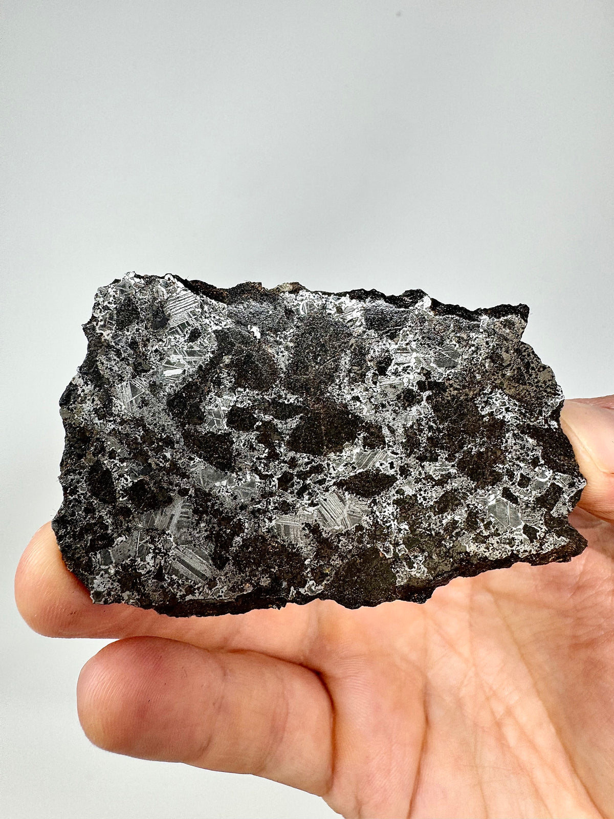NEW! 57.3g Tessalit 001 - Extremely High Iron Winonaite Meteorite Under Study - A Primitive Achondrite!