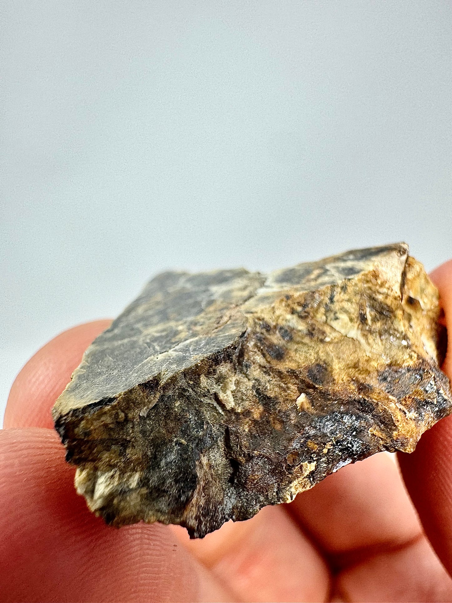 10.8g Djoua 001 Enstatite Achondrite Meteorite - Thick Cut! Evidence of Planet Mercury - Marble Appearance