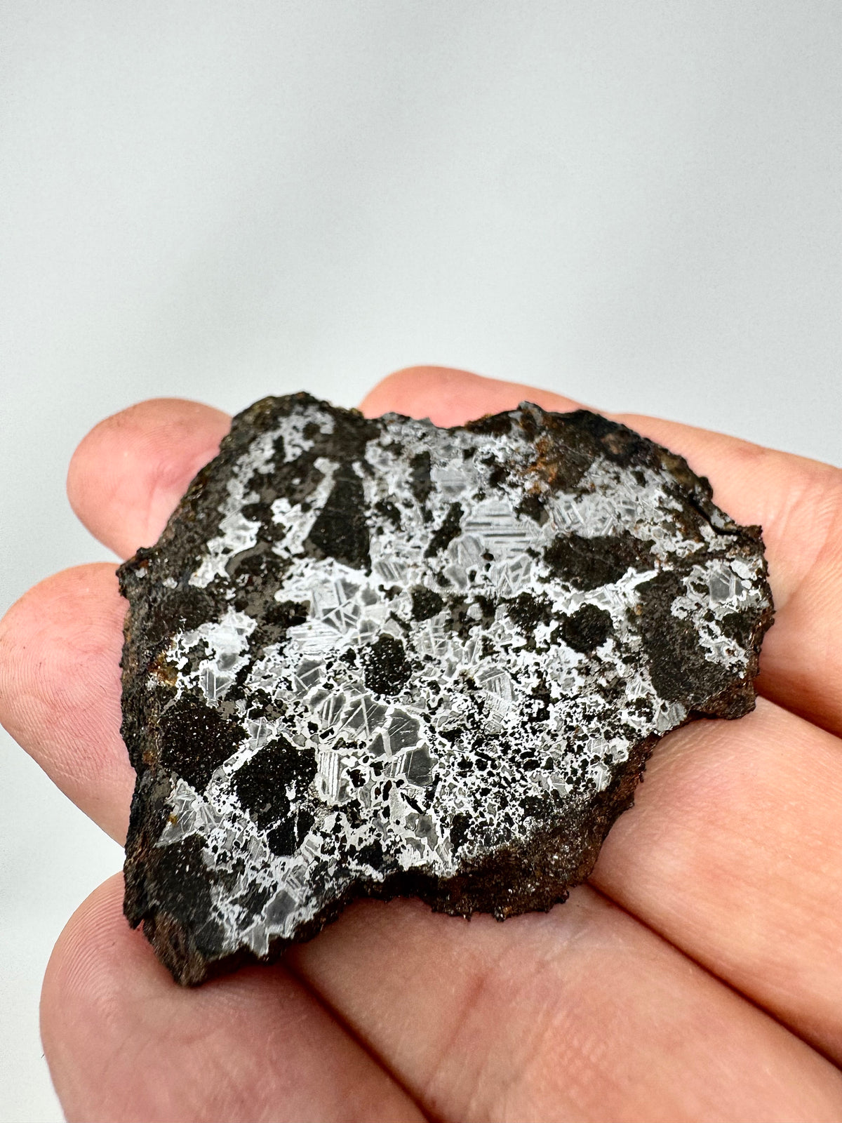 NEW! 35.1g Tessalit 001 - Extremely High Iron Winonaite Meteorite Under Study - A Primitive Achondrite!