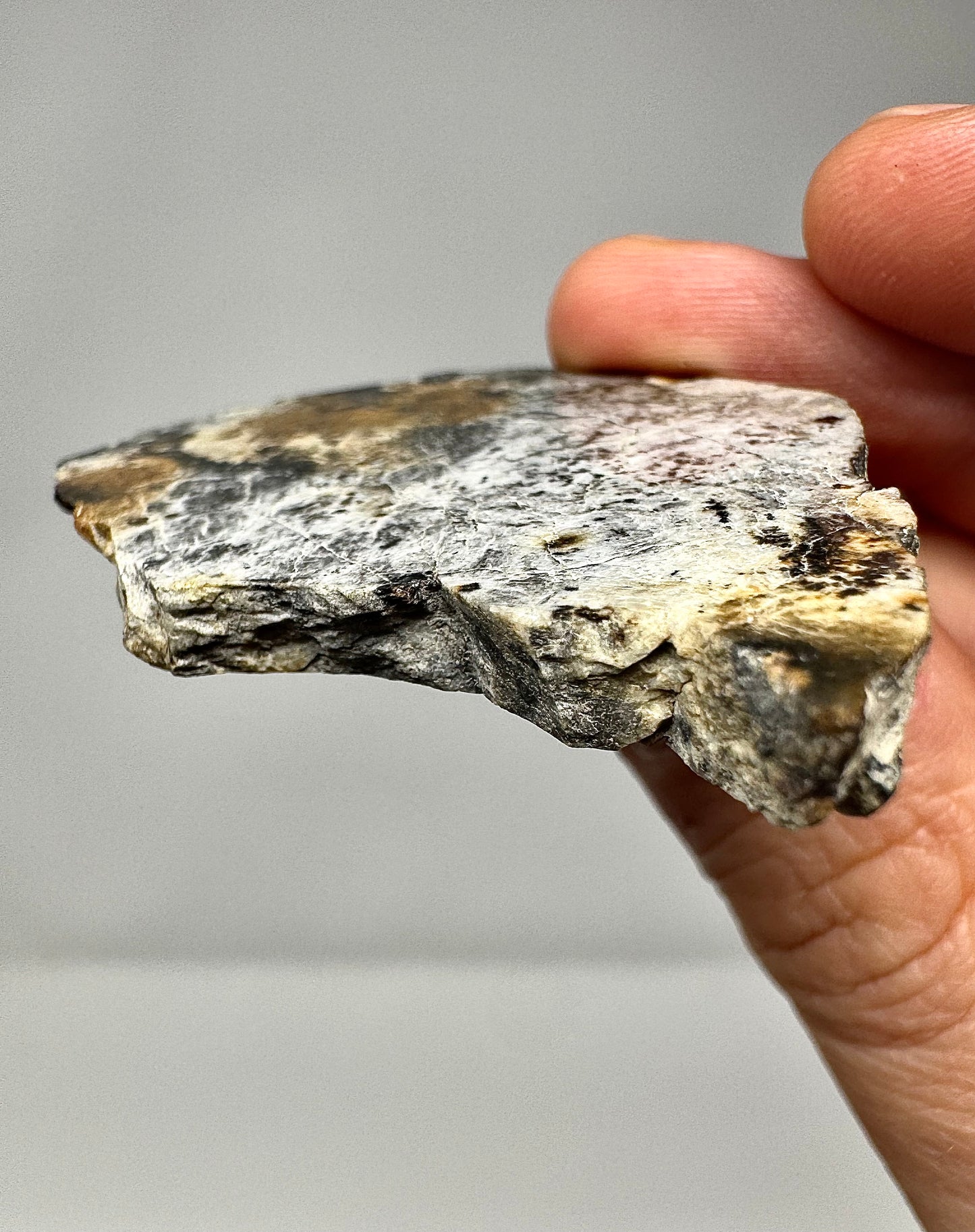 20.7g Djoua 001 Enstatite Achondrite Meteorite - Thick Cut! Evidence of Planet Mercury - Marble Appearance