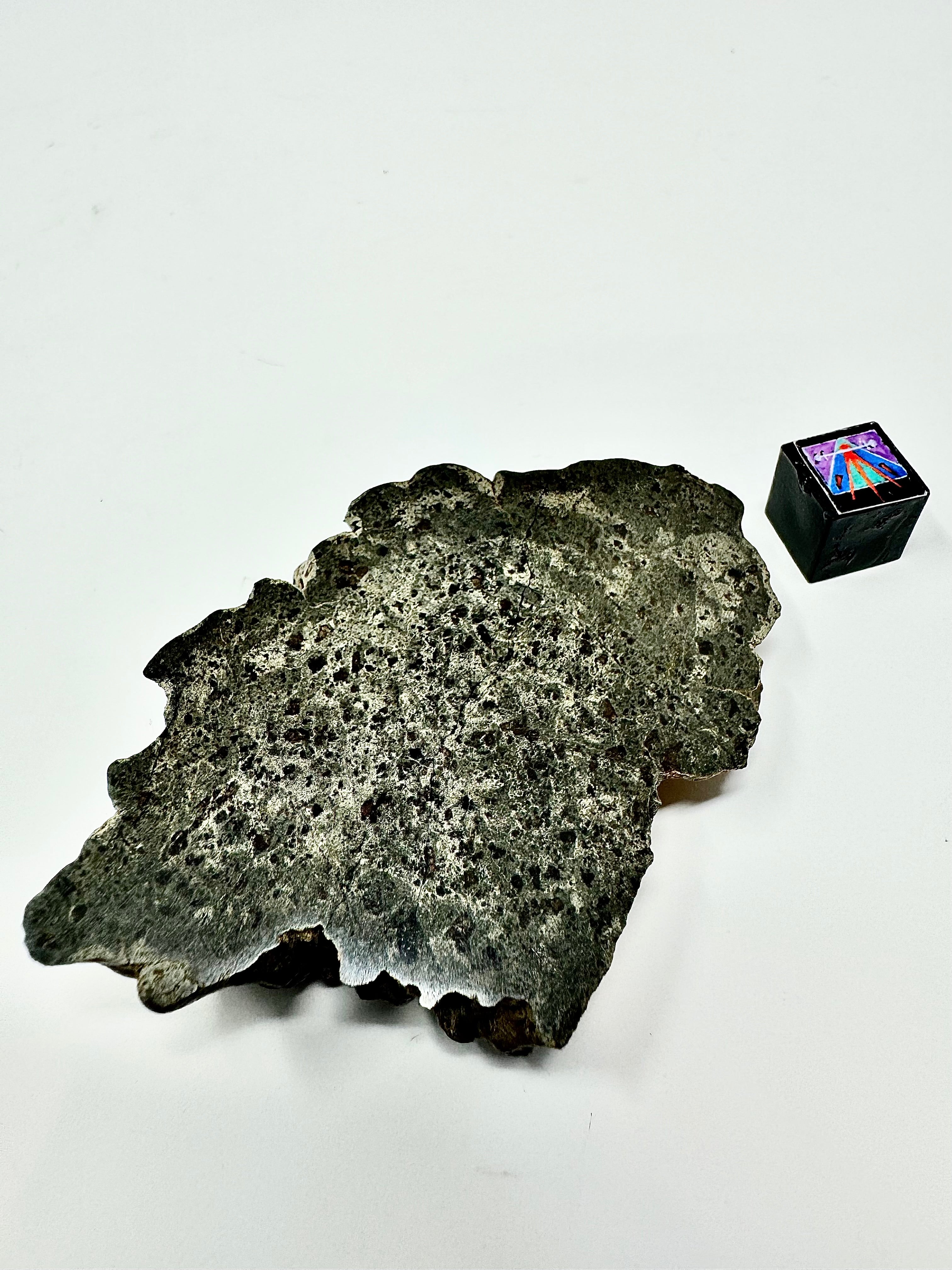 49.8g Genuine Martian Meteorite Amgala 001 End Cut